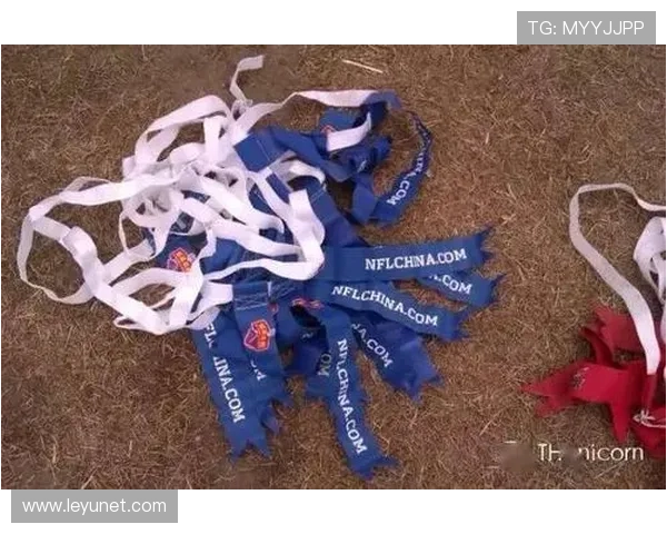 合法冲撞规则详解：裁判如何判定合理身体对抗